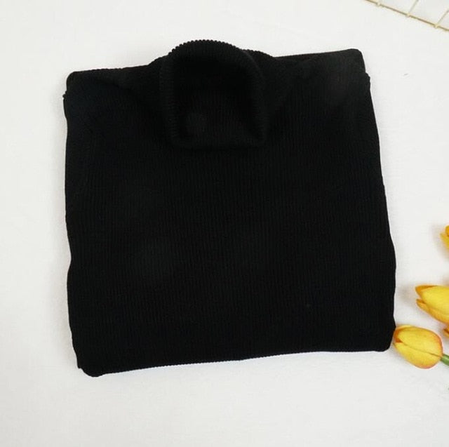 Autumn Winter Women Knitted Dress Turtleneck Sweater Dress