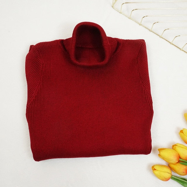 Autumn Winter Women Knitted Dress Turtleneck Sweater Dress